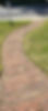 277404541_497146308562314_1281811215648848578_n.jpg