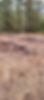 277586429_404480064845733_1191760285255414894_n.jpg