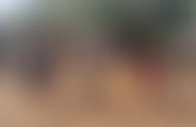 සුළි කුණාටු බලපෑම නොතකා ශ්රී ලංකා සංචාරක ව්යාපාරයේ ශක්තිමත් වර්ධනයක් ??