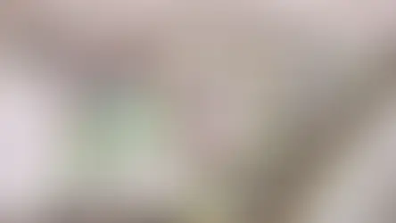 2025 ජූලි මාසයේදී ඇඟලුම් අපනයනය 9% ක වර්ධනයක්...