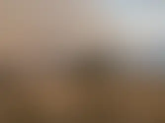 Bushfire warning as Victoria temperatures soar past 40°C