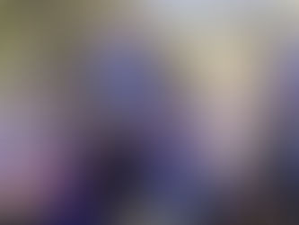 Thousands in Australia march against mass immigration