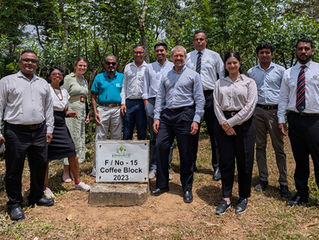 Australia and Kahawatte Plantations partner to boost Sri Lanka coffee sector
