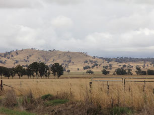 Southeast Australia records driest January in 17 years