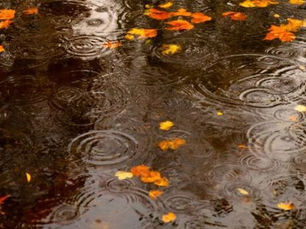 Rain to continue in wet autumn start across parts of Australia