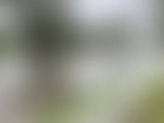 Flood warnings issued across half of Australia as tropical low drenches regions