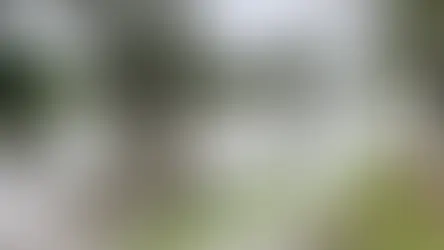 Flood warnings issued across half of Australia as tropical low drenches regions