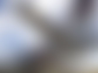 Government may step in to save Rex Airlines