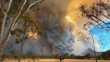 Too late to leave as bushfire erupts in northern Victoria