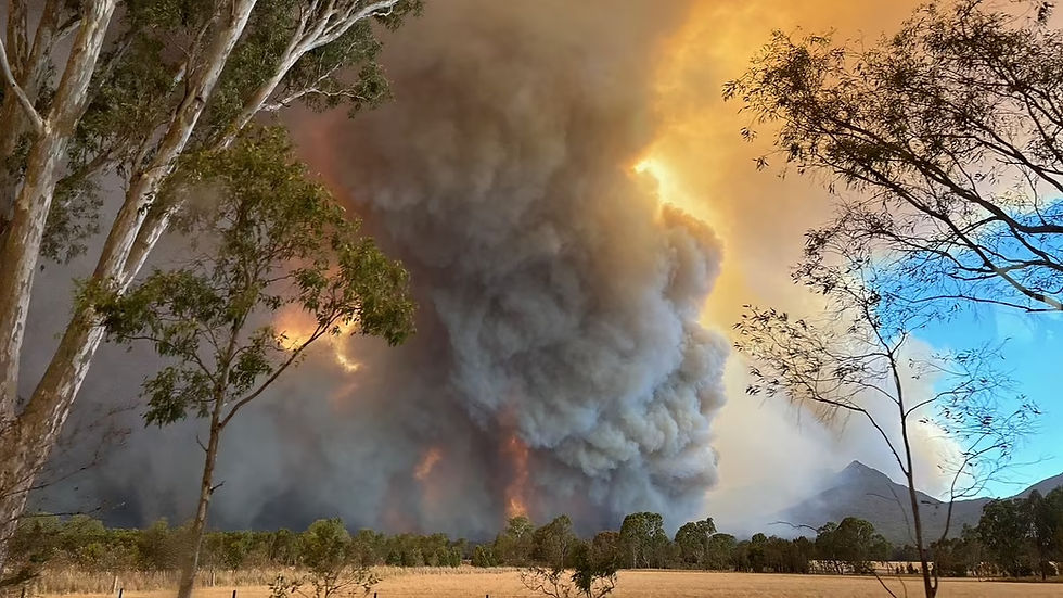 Too late to leave as bushfire erupts in northern Victoria