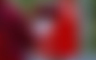 Australia Post plans to raise stamp prices nationwide