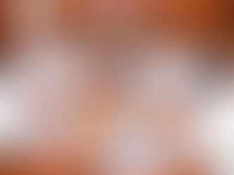 ජනපති නාවික හමුදාවේ ජ්යෙෂ්ඨ නිලධාරීන් සමඟ විශේෂ සාකච්ඡාවක්...