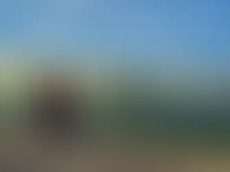 දිත්වා නොතකා දෙසැම්බර් මාසයේ සංචාරක පැමිණීම් ඉහළට...