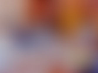 වන අලි ගැටුමට ජනාධිපති ප්රධානත්වයෙන් විශේෂ සාකච්ඡාවක්...