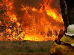 TOTAL FIRE BAN TODAY: Evacuate Notices Issued as Victoria’s Bushfire Crisis Deepens