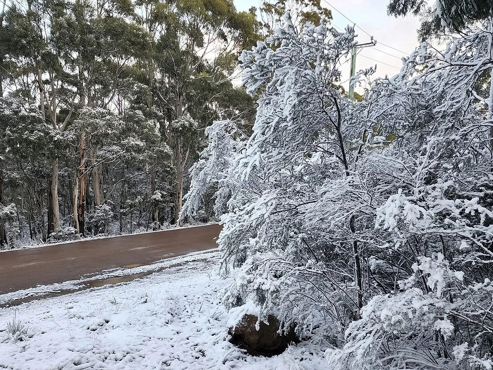 AusNewsLanka - News for Australians - Polar blast brings snow to towns across four states multiple