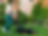 Lawn care costs near $1000 yearly for Australian households