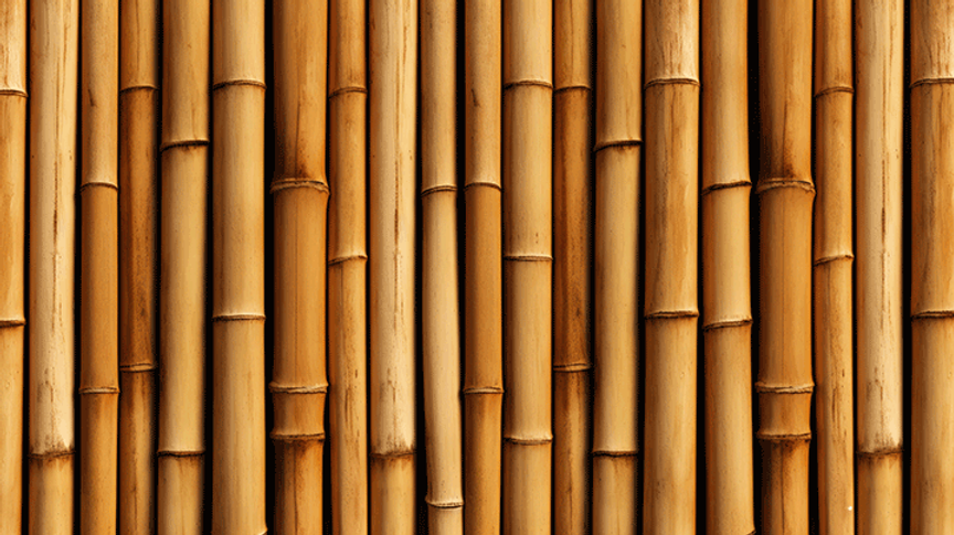 bamboo-background-aesthetic.png