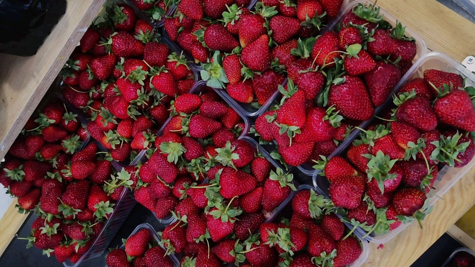 STRAWBERRY
