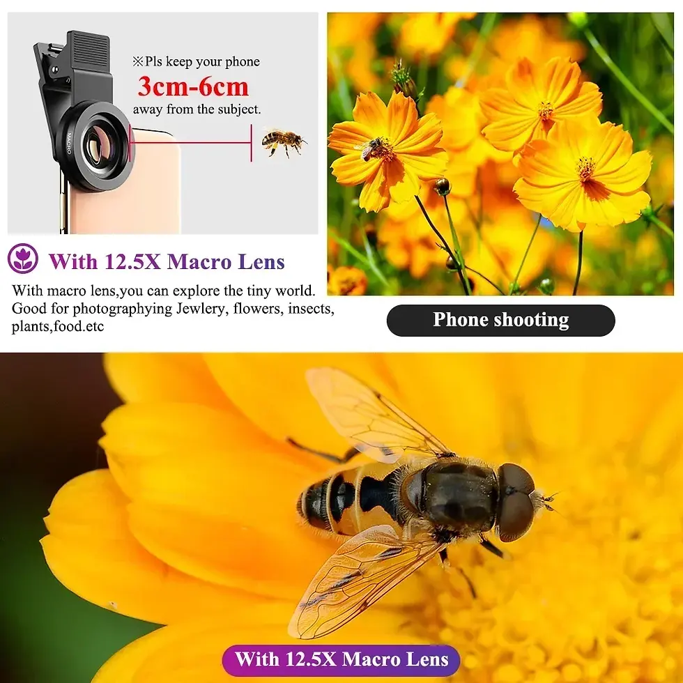 Thumbnail: Clip-on phone macro lens capturing fine details of flowers and small subjects
