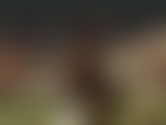 STUDWELL TAKES OVER, KNIGHTS BURY RENEGADES