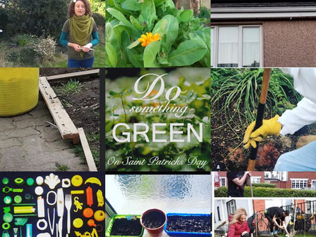 17 Ways to go green this St. Patrick's Day