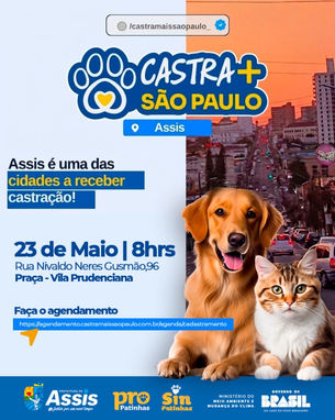 Assis recebe mutirão de castração gratuita: 150 vagas disponíveis para cães e gatos