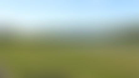 Poder Legislativo propõe criação de ‘Espaço Pet’ no Parque das Águas