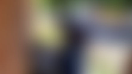 Arrastão contra a dengue mobiliza bairros de Assis durante todo o mês de abril