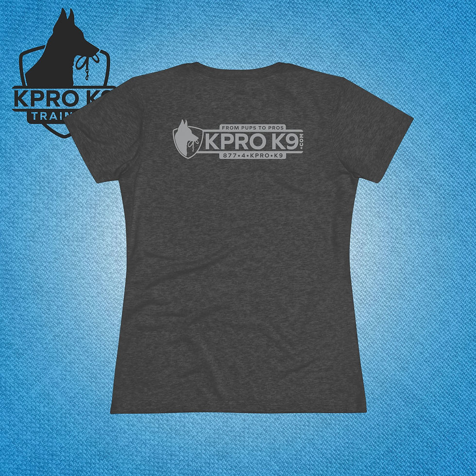 Thumbnail: Ladies Tri-Blend Tee | KPro K9 Uniform Wear