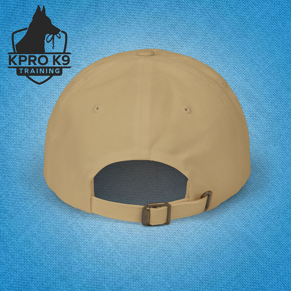 Thumbnail: Fall Cap | KPro K9 Uniform Wear