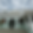 Design sem nome (23).png