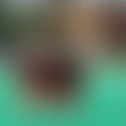 Why Fewer Activities Can Make a Bigger Impact on the Common App