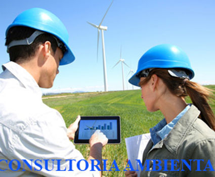 consultoria-ambiental copy.jpg