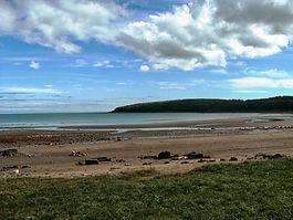 There are some beautiful beaches to explore around Galloway House Estate. On the doorstep is Rigg Bay. It has a beautiful sandy beach and is a wonderful place to swim. It is a place of historical interest as it was used as a test side for the Mulberry Harbours which were ultimately used for the D-Day landings in 1944. 
The beach is accessed through the wonderful gardens of Galloway House which are well maintained by Galloway House Gardens Trust. From Rigg Bay you can walk the coastal path to the remains of 12th century Cruggleton Castle. The route takes you along the shoreline and through Cruggleton Woods to the spectacular cliffs at Cruggleton Lodge. A short drive away is St Medans, Monreith, which has two beautiful, sandy beaches on the edge of the eponymous golf course. Both beaches have great rocks to jump off and often have decent waves for boogie-boarding. There are numerous smaller beaches and rocky coves nearby – mostly only accessed on foot. The Galloway Coastal Path is the best way to discover these hidden gems and you will almost certainly have them to yourself.