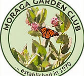 image_88172011_edited.jpg
