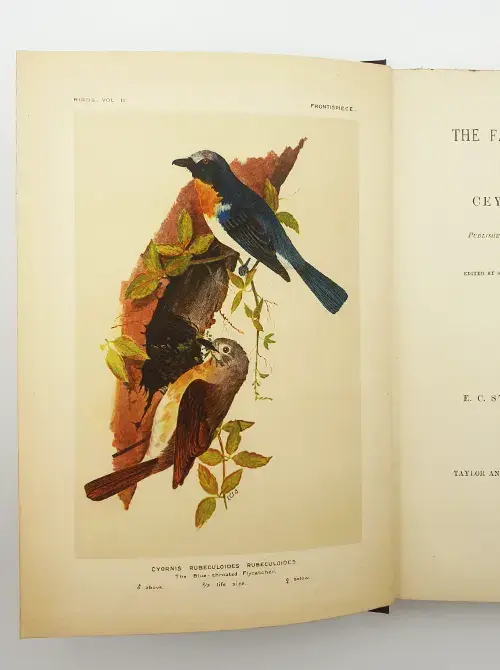 Miniatura: The Fauna of British India Vol. II-VIII