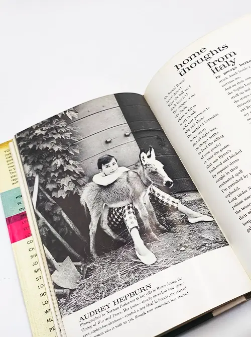 Miniatura: Vogue's Gallery of 50 Famous Authors and Artists