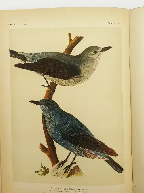 Miniatura: The Fauna of British India Vol. II-VIII