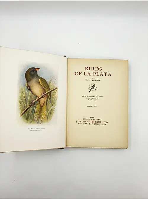 Miniatura: Birds of La Plata