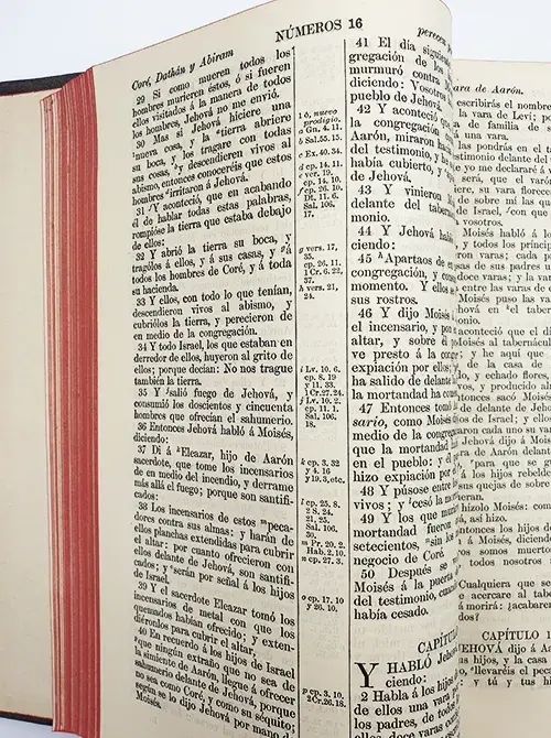 Miniatura: La Santa Biblia
