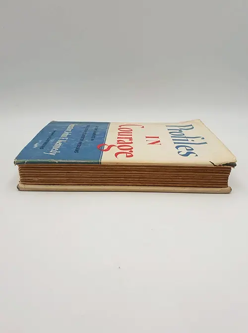 Miniatura: Profiles In Courage