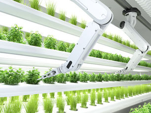 Global agri-food-tech investment shrinks as sector enters new growth phase