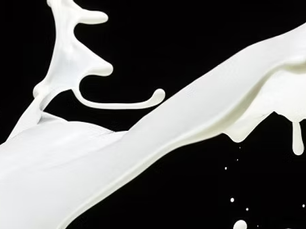 Liberation Labs partners with NEOM to establish precision fermentation facility in Saudi Arabia