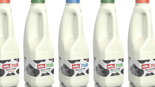 UK dairy sector forms multidisciplinary coalition to drive sustainability and resilience