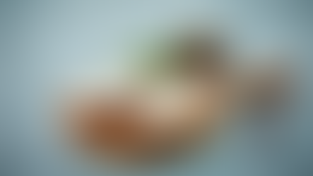 Arla Foods Ingredients showcases new concepts for nutrition-boosted cheese