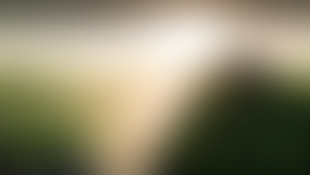 ADM and Bayer expand regenerative agriculture partnership