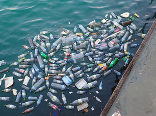 Research: 2024 sees continued increase in plastic waste