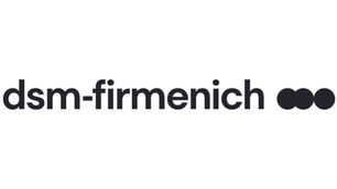 DSM-Firmenich sells 6.7m ordinary shares through accelerated bookbuild