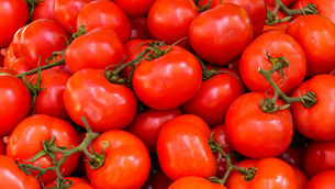 Campbell Soup Company secures $3.4m USDA grant for tomato farming in California
